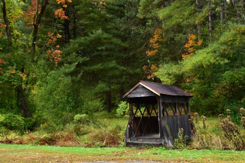 A rustic wooden shelter surrounded by trees with autumn foliage in a serene, natural setting.