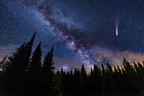 A starry night sky with the Milky Way and a comet above a silhouette of pine trees.