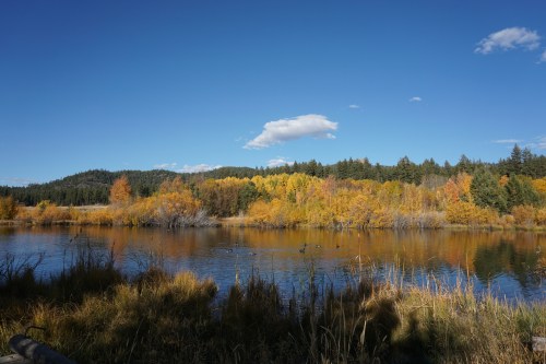 A serene lake surrounded by autumn foliage and trees under a clear blue sky with a few clouds.