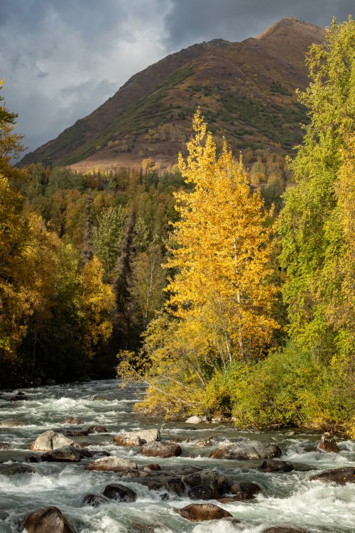 A vibrant autumn scene with a rushing river, colorful trees, and a mountain backdrop under a cloudy sky.
