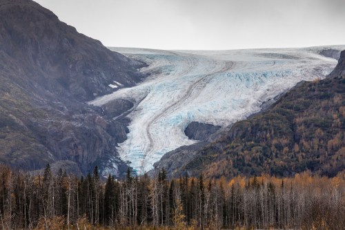 A glacier flows down a mountain, surrounded by autumn-colored trees and rocky terrain under a cloudy sky.