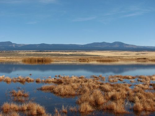 A serene landscape featuring a calm water body surrounded by golden grasses and distant mountains under a clear blue sky.