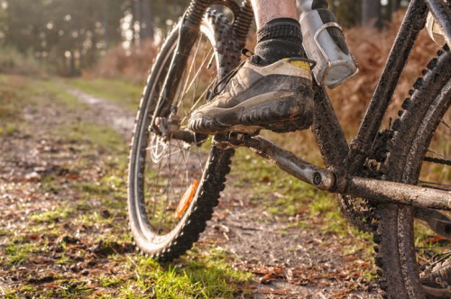 Close-up of a muddy mountain bike pedal with a foot in a shoe, set on a dirt path surrounded by trees.