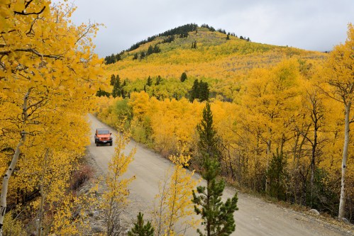 A dirt road winds through vibrant yellow aspen trees, with a vehicle driving in the foreground and a mountain in the background.