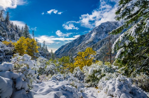 A snowy mountain landscape with vibrant autumn trees under a bright blue sky and scattered clouds.