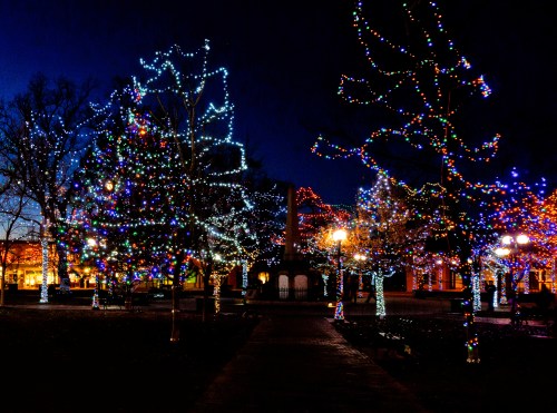 Colorful holiday lights adorn trees in a park at night, creating a festive and cheerful atmosphere.