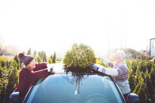 An elderly couple places a festive wreath on top of their car, surrounded by evergreen trees in bright sunlight.