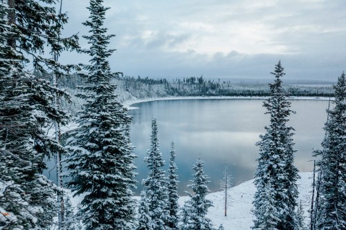 A serene winter landscape featuring a snowy lake surrounded by tall evergreen trees under a cloudy sky.