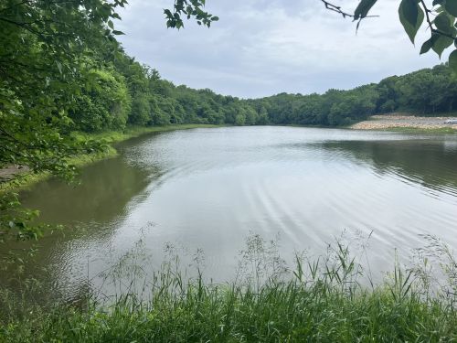 A serene lake surrounded by lush greenery under a cloudy sky, with gentle ripples on the water's surface.