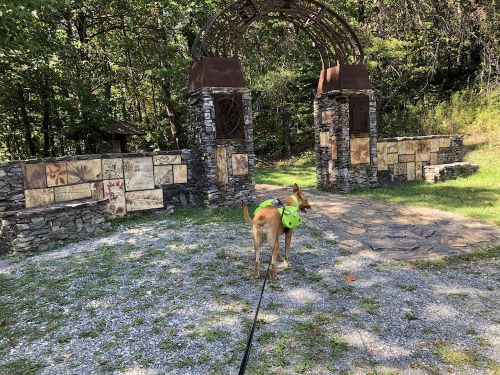 A dog in a bright vest stands on a gravel path near a stone archway surrounded by trees.