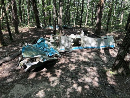 Wreckage of an aircraft partially covered by foliage in a wooded area, with trees surrounding the debris.