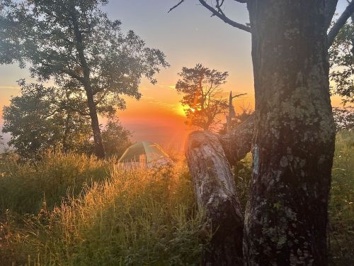 A serene sunset view through trees, with a tent nestled in the grass, casting a warm glow over the landscape.