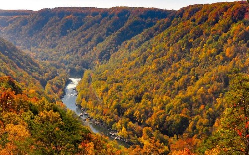 A scenic view of a river winding through vibrant autumn-colored hills and valleys.
