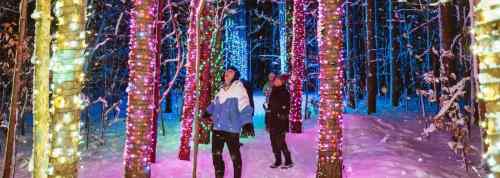 Two people stand among brightly lit trees in a snowy forest, surrounded by colorful holiday lights.