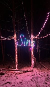 Colorful lights spell "Sing" in a dark, snowy forest, with trees adorned in twinkling decorations.