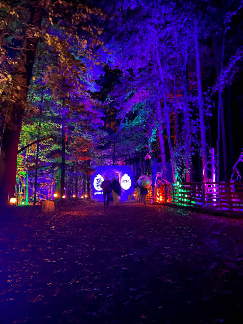 A vibrant, illuminated forest path with colorful lights and decorations, creating a festive atmosphere.