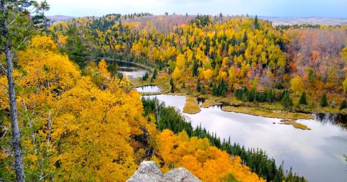 A vibrant autumn landscape featuring a winding river surrounded by trees with colorful yellow and orange foliage.