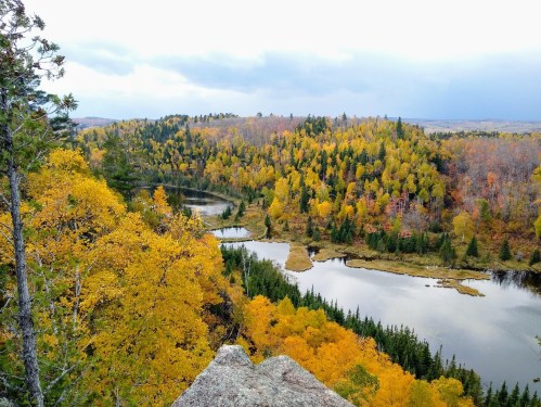 A scenic view of a river winding through vibrant autumn foliage, with trees in shades of yellow and orange.