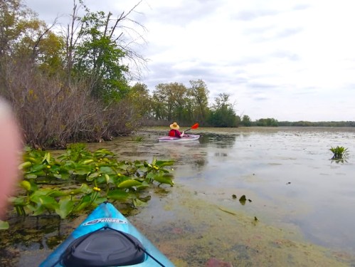 A person in a kayak paddles through a calm, green lake surrounded by trees and lily pads.