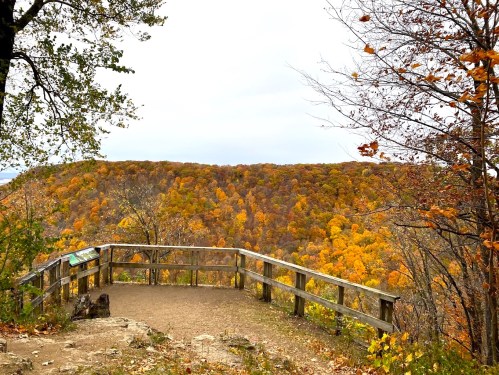 Scenic overlook with wooden railing, showcasing vibrant autumn foliage on rolling hills under a cloudy sky.