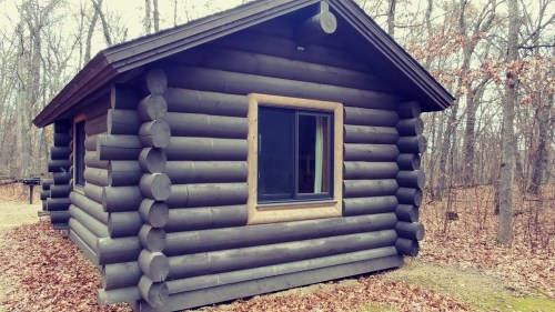 A rustic log cabin with a large window, surrounded by trees and fallen leaves in a wooded area.