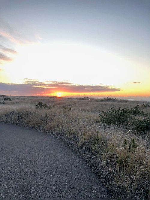 A winding path through tall grass leads to a vibrant sunset over the horizon, with soft clouds in the sky.