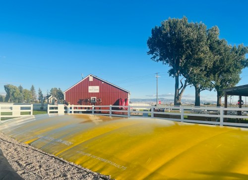 A yellow inflatable structure in front of a red barn, with trees and a clear blue sky in the background.