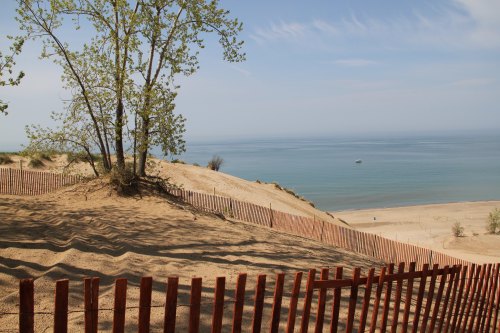 A sandy dune with a tree and wooden fencing overlooks a calm lake under a clear blue sky.