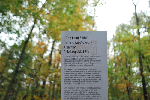 A sign in a forest discussing "The Land Ethic" by Aldo Leopold, highlighting ecological responsibility and conservation.