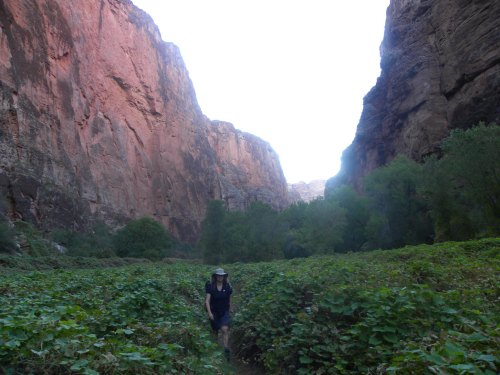 A person walks through a lush green valley surrounded by towering rock formations and cliffs.