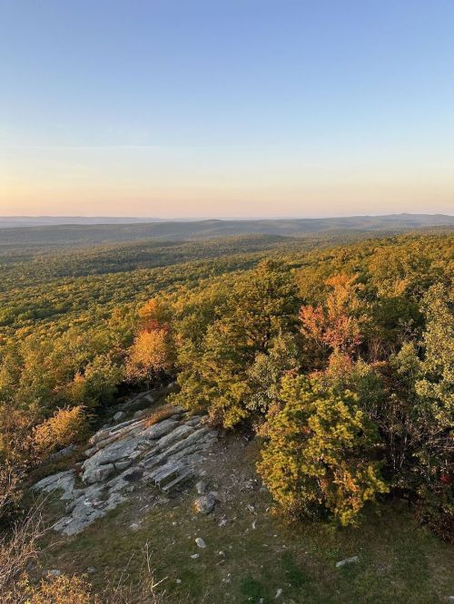 A scenic view of rolling hills and trees with autumn colors under a clear sky at sunset.