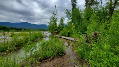 A lush, green landscape with a river, a fallen log, and a person standing in the distance under a cloudy sky.