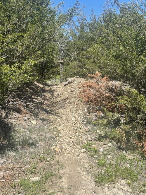 A rocky trail winds through a green forest, with trees and shrubs lining the path under a clear blue sky.