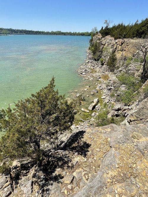 A rocky shoreline with green water and trees under a clear blue sky.