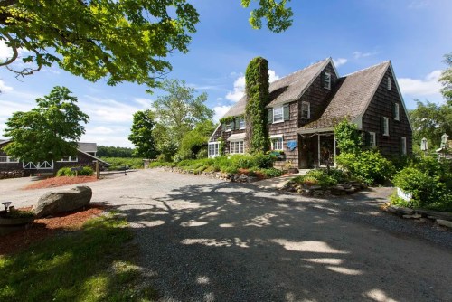 A charming, rustic house surrounded by greenery and trees, with a gravel driveway leading up to it.
