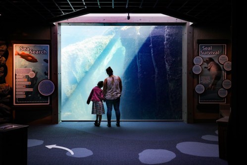 A child and an adult stand together, gazing at a large aquarium window with marine exhibits in the background.