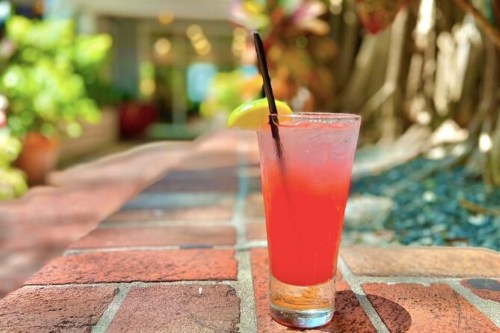 A refreshing pink cocktail with a lemon slice, served in a tall glass on a brick surface, surrounded by greenery.