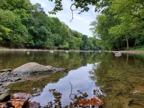 A serene river scene with clear water reflecting trees and rocks, surrounded by lush greenery.