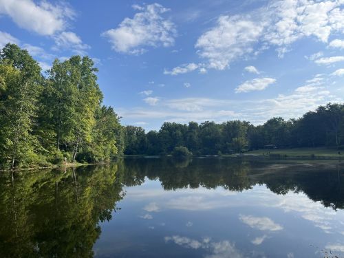 A serene lake surrounded by lush trees, reflecting a clear blue sky with scattered clouds.