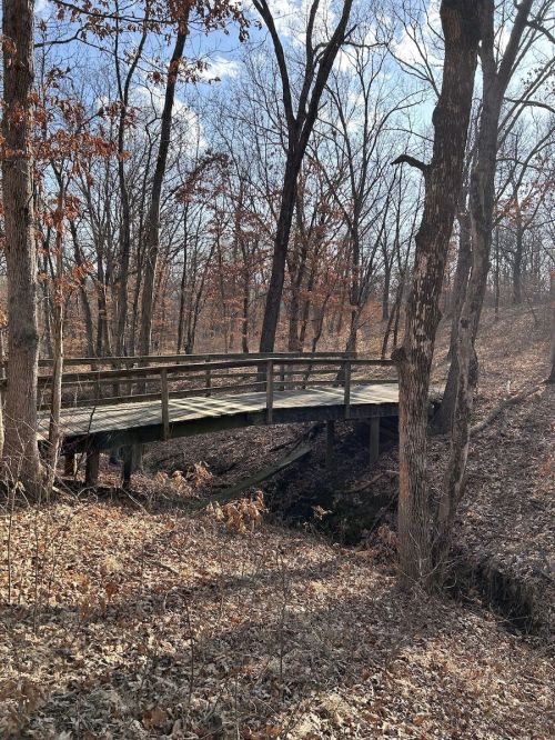 A wooden bridge spans a small creek in a wooded area with bare trees and fallen leaves under a clear sky.