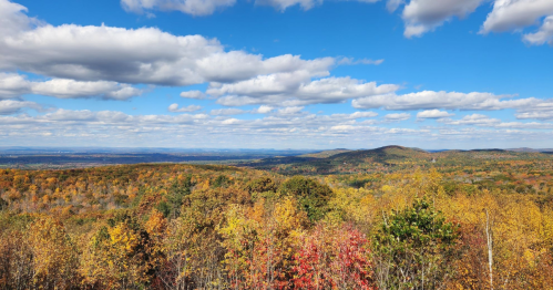 A panoramic view of vibrant autumn foliage under a blue sky with fluffy clouds. Rolling hills stretch into the distance.
