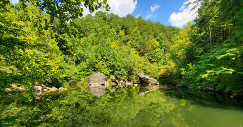 Lush green trees surround a calm, reflective pond under a bright blue sky with fluffy clouds.