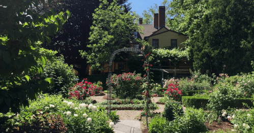 A lush garden with colorful flowers and a trellis, leading to a charming house surrounded by greenery.