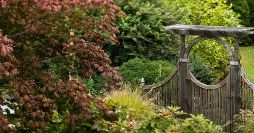 A wooden garden gate surrounded by lush greenery and colorful foliage.