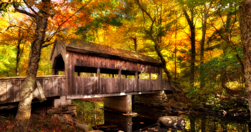 A rustic wooden covered bridge surrounded by vibrant autumn foliage and a calm stream.