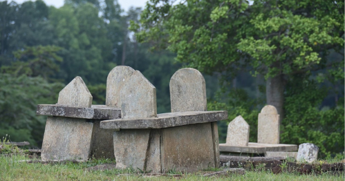 A cluster of weathered stone tombstones in a grassy area, surrounded by trees.