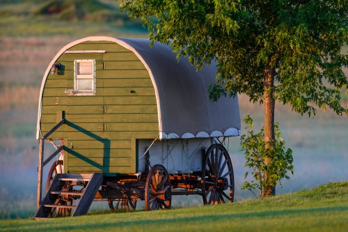 A green vintage wagon with a curved roof, parked beside a tree in a grassy field.