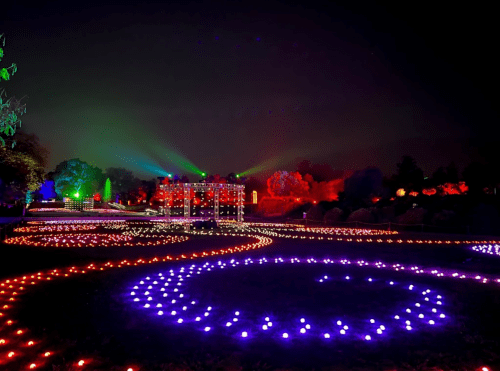 Colorful lights illuminate a garden at night, creating swirling patterns and vibrant displays against a dark sky.