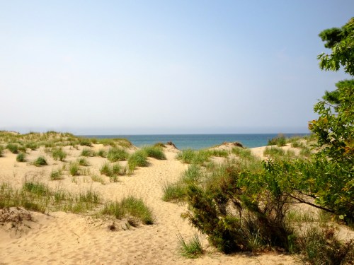 A sandy beach with dunes and sparse grass, leading to a calm ocean under a clear blue sky.