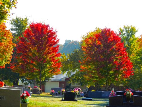 Vibrant red and green trees in a cemetery, with gravestones and colorful flower arrangements in the foreground.